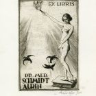 Ex-libris (bookplate) - dr. med. Albin Schmidt