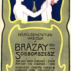 Poster design - Brázay's spirit of salt