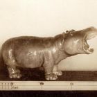 Photograph - Porcelain figurine, hippo, Turin International Exhibition of Decorative Art, 1902.