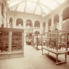 Exhibition photograph - "Amateur collectors' exhibition in the Museum of Applied Arts, 1907