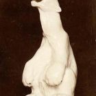 Photograph - Porcelain figurine, polar bear