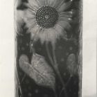 Photograph - Vase with gold eosin daisies