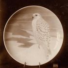 Photograph - Plate, painted decoration, small predatory bird