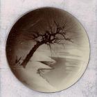 Photograph - Plate with painted decoration, winter landscape, sunset with tree and stream