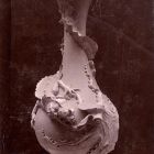 Photograph - Vase, unpainted porcelain, decorated with embossed chameleon, octopus and plant details, Rörstrands Porslinsfabriker