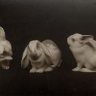 Photograph - Peter Dahl-Jensesn: Rabbits, porcelain figurines