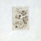 Ex-libris (bookplate)