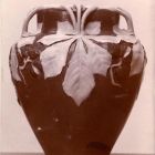 Photograph - Vase with light chestnut leaves emerging from the dark base, the stems of which form arches at the mouth