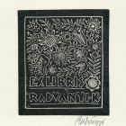 Ex-libris (bookplate) - K( ároly) Radványi - ipse