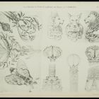 Design sheet - Design for jewlery from the series  La chimere et l'animal  24.