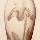 Photograph - Vase, colourfully painted, decorated with orchids on the body