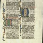 Codex sheet
