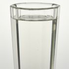 Cup - So-called Toastmaster's glass