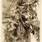 Graphics - The park of Gödöllő