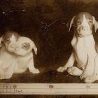 Photograph - Figurines, dogs