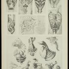 Design sheet - Design for jewlery from the series  La chimere et l'animal  15.