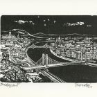 Grafika - View of Budapest