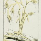 Ex-libris (bookplate)