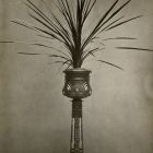 Photograph - stand for palms, designed by Pál Horti, around 1900