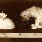 Photograph - Porcelain figurines, two cuddling desert foxes and a dog with dangling ears