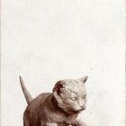 Photograph - Cat figurine with frog, iridescent glass