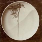 Photograph - Plate with painted decoration, lone tree