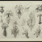 Design sheet - Design for jewlery from the series  La chimere et l'animal  13.