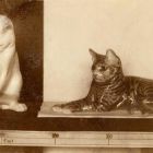 Photograph - Erik Nielsen: Porcelain figurines, playing cat and a lying cat, Turin International Exhibition of Decorative Art, 1902.