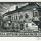 Occasional graphics - A memory from the Caesar House in Sopron