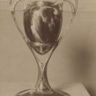 Photograph - Vase