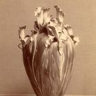 Photograph - Vase, Paris Universal Exposition 1900