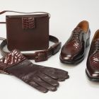Snakeskin accessories - shoes, gloves, belt and bag