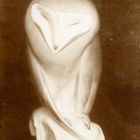 Photograph - Porcelain owl figurine, Turin International Exhibition of Decorative Art, 1902.