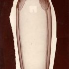 Photograph - Vase with painted decoration, straight tulip stems